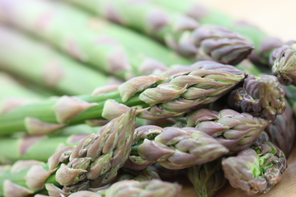 Stems of asparagus